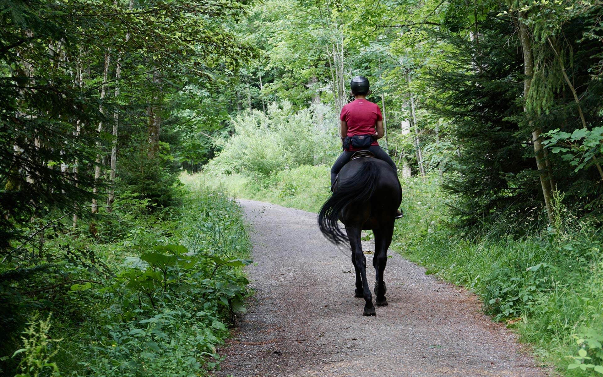 dreilaendereck-bayerischer-wald_reiten-im-bayerischen-wald_header_1920x1200