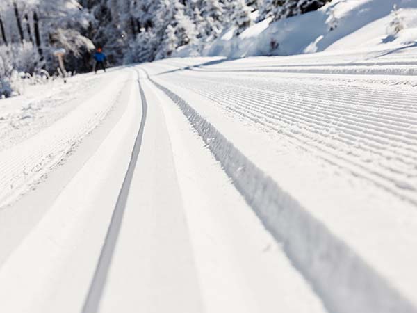 loipenplan-dreilaendereck-bayerischer-wald-schneeverhaeltnisse