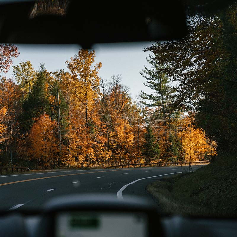 Blick durch die Windschutzscheibe auf einen herbstlichen Wald