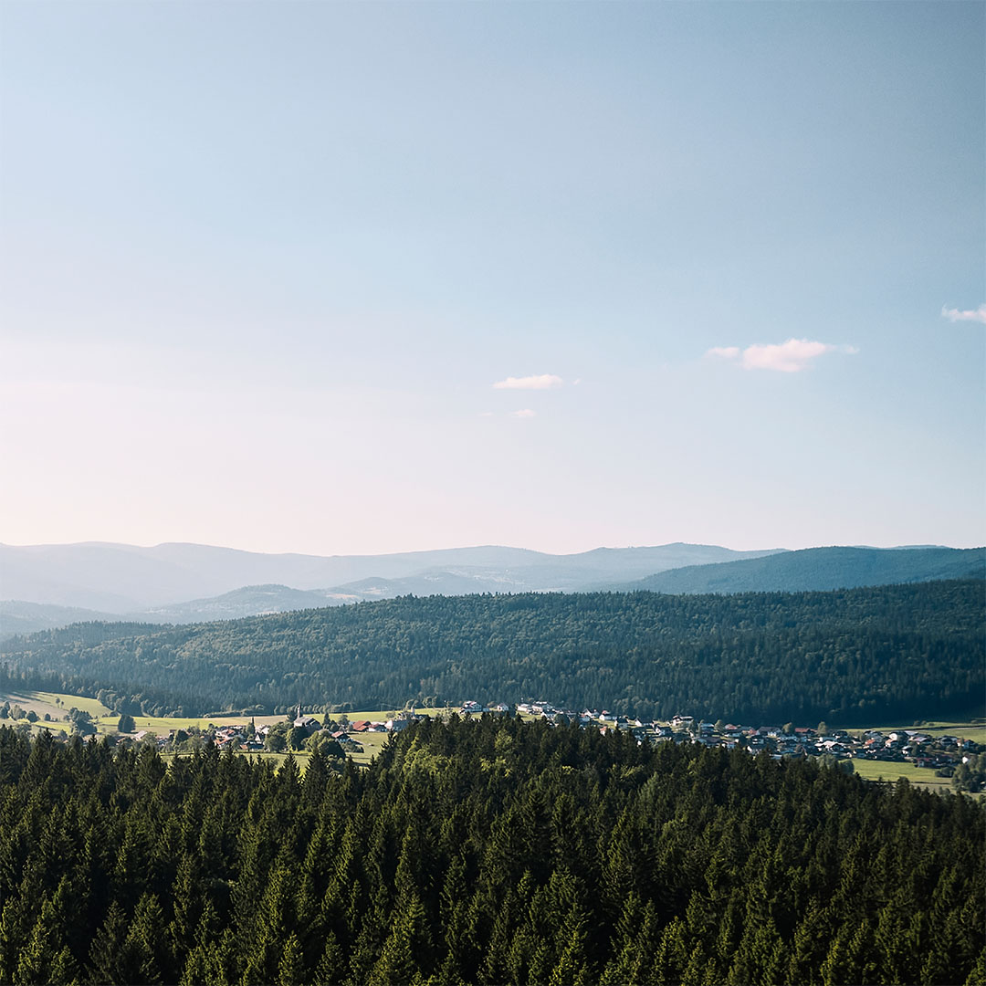 bayerischer-wald-panorama-sommer
