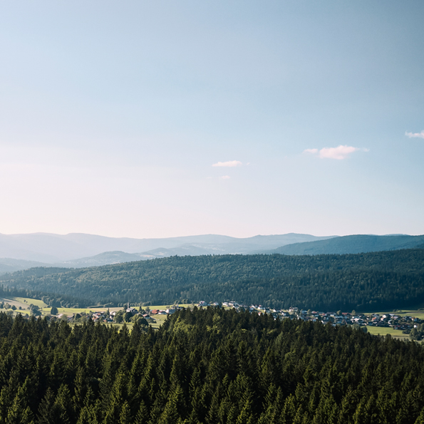 dreilaendereck-bayerischer-wald-panorama-sommer