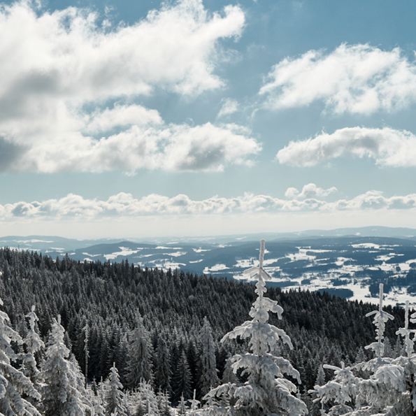 dreilaendereck-bayerischer-wald-panorama-winter