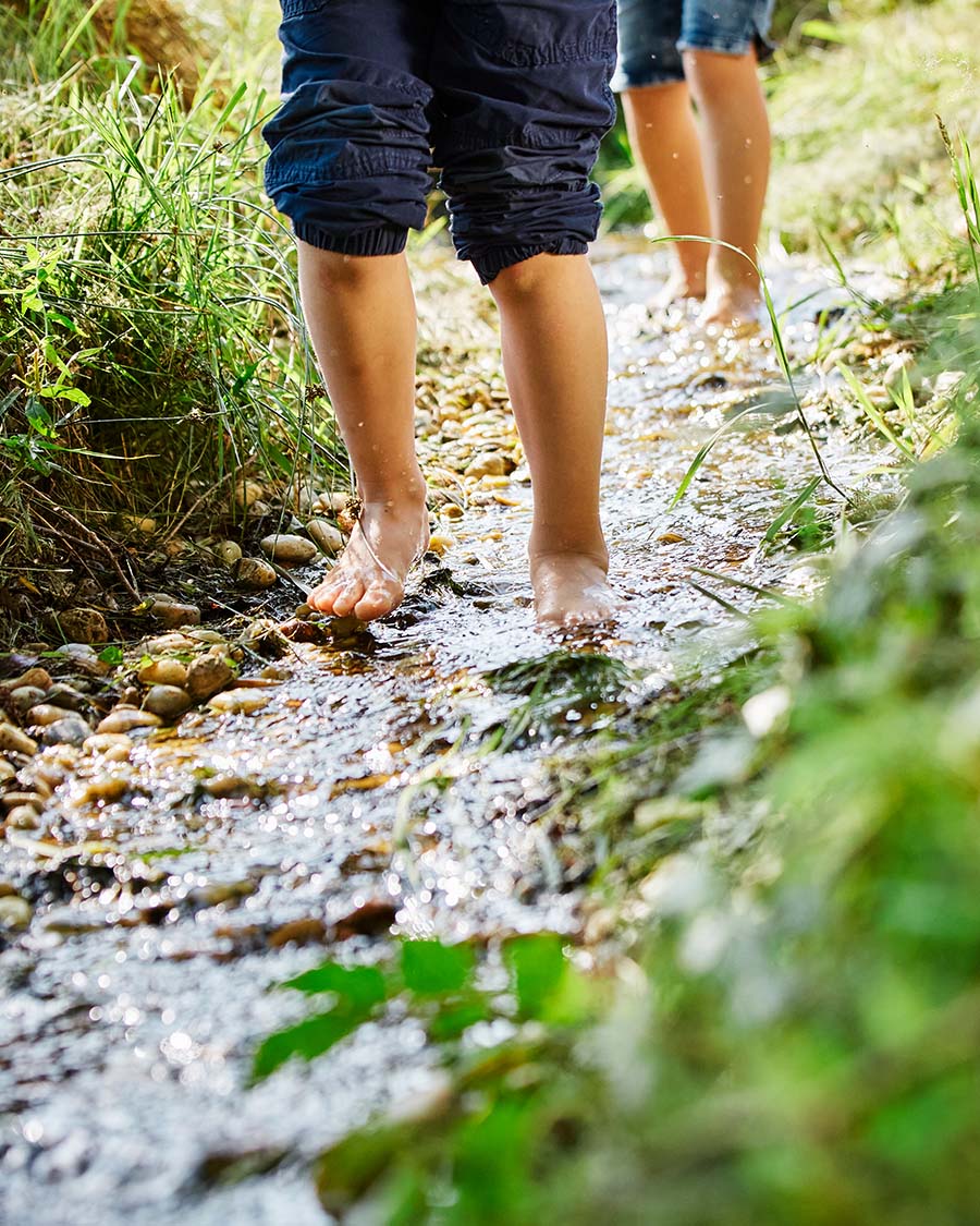 Kinder steigen durchs Wasser eines Bachs der zur Kneipp-Anlage führt