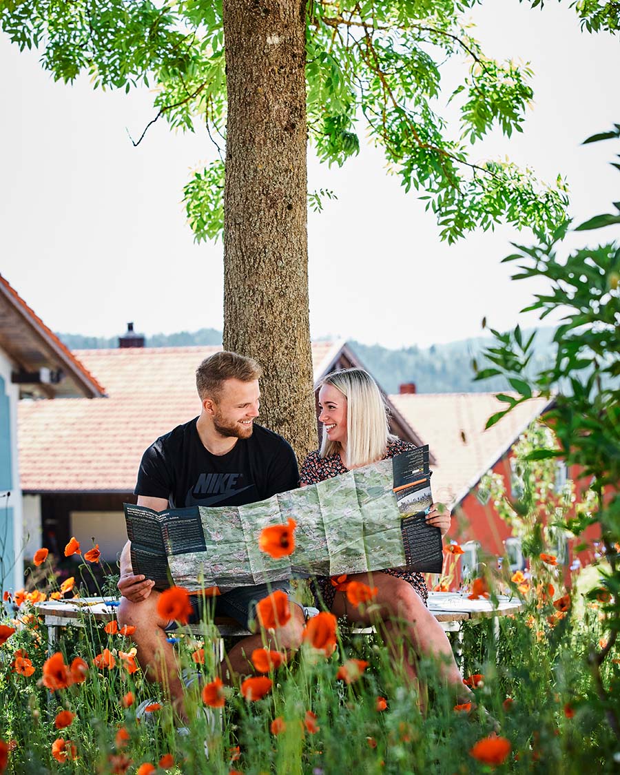 Paar sitzt unter einem Baum und studiert die Karte