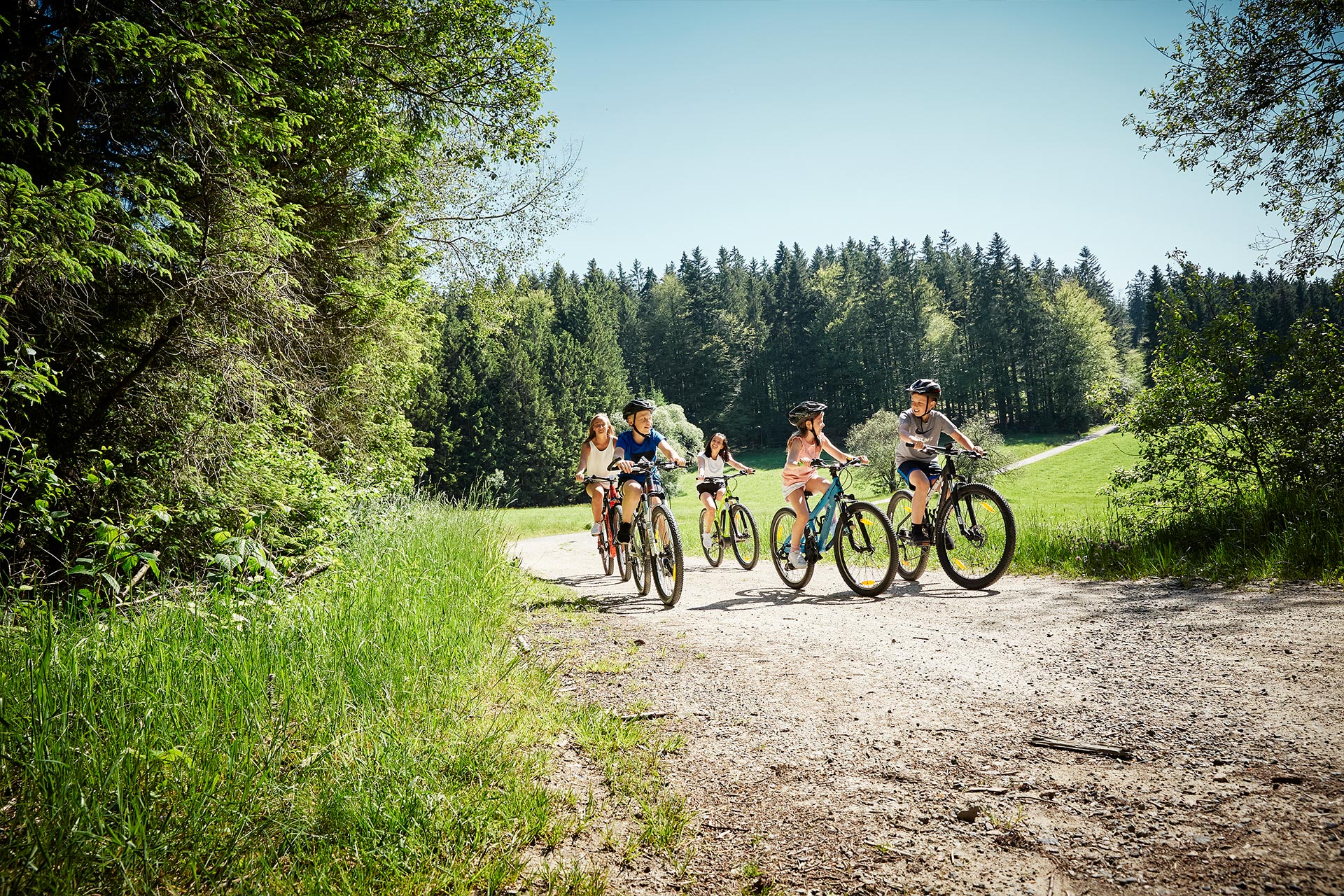 Mutter und Kinder fahren Fahrrad auf einer Waldstraße im Bayerischen Wald