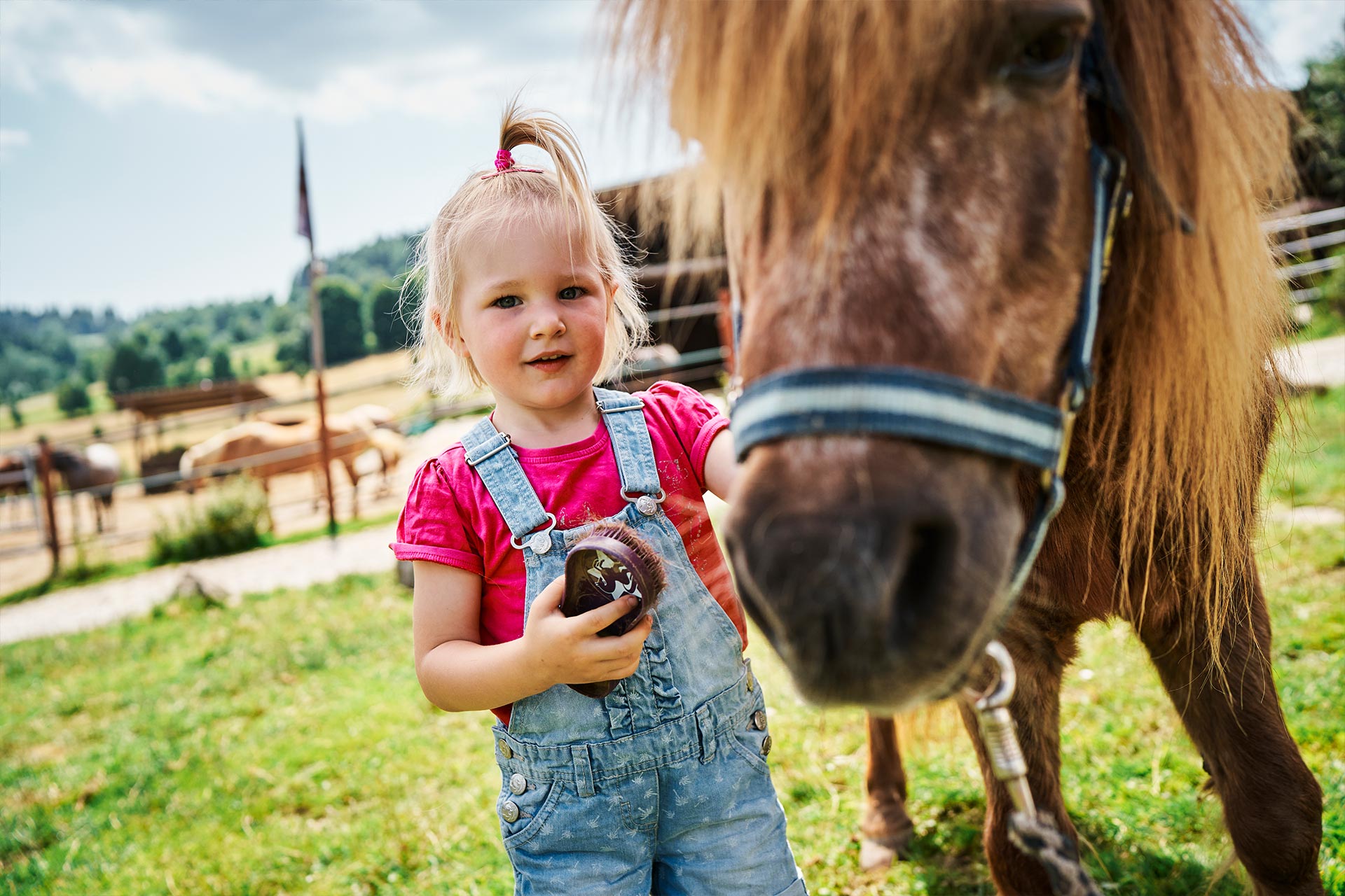 Mädchen striegelt ein Pferd