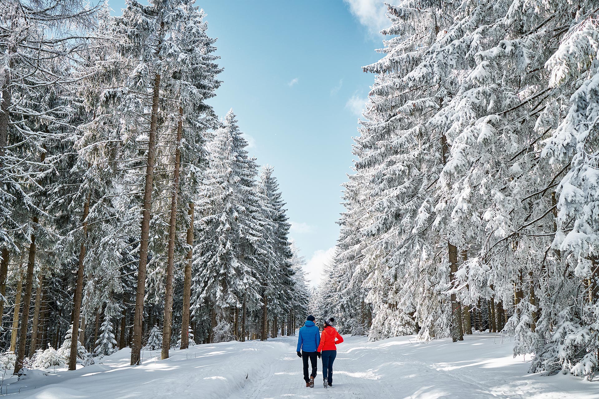 Traumhafte Winterwanderungen im Bayerischen Wald